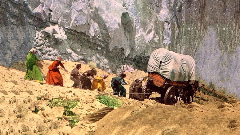 кадр из фильма Westward the Women