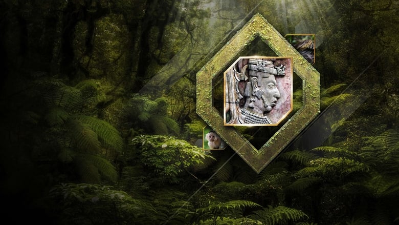 кадр из фильма The Lost City of the Monkey God