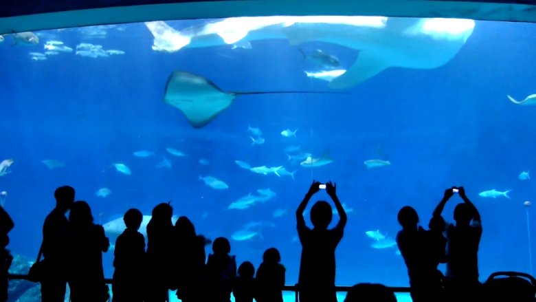 кадр из фильма Mit mívelt Isten