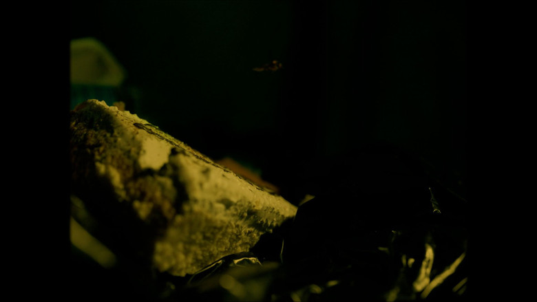 кадр из фильма Genesis of evil