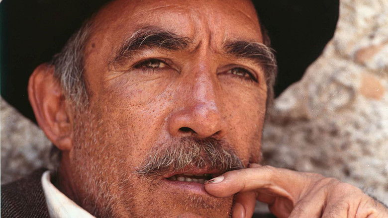 кадр из фильма Тайна Санта-Виттории