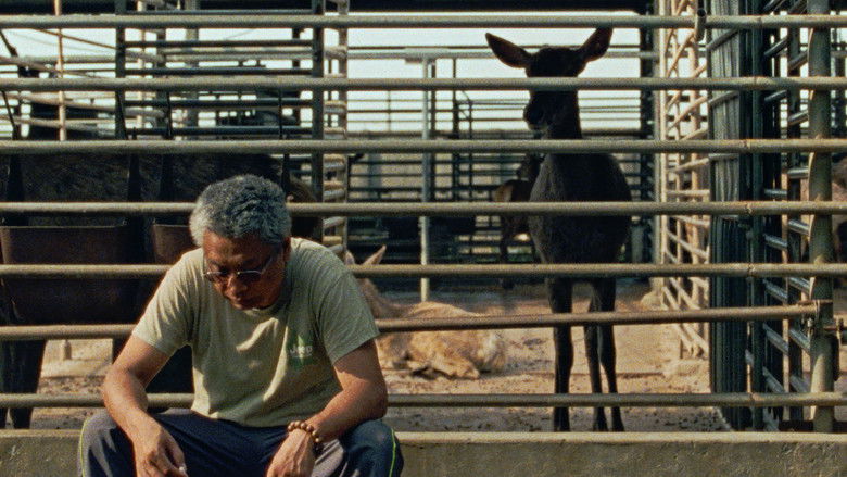 кадр из фильма Олень