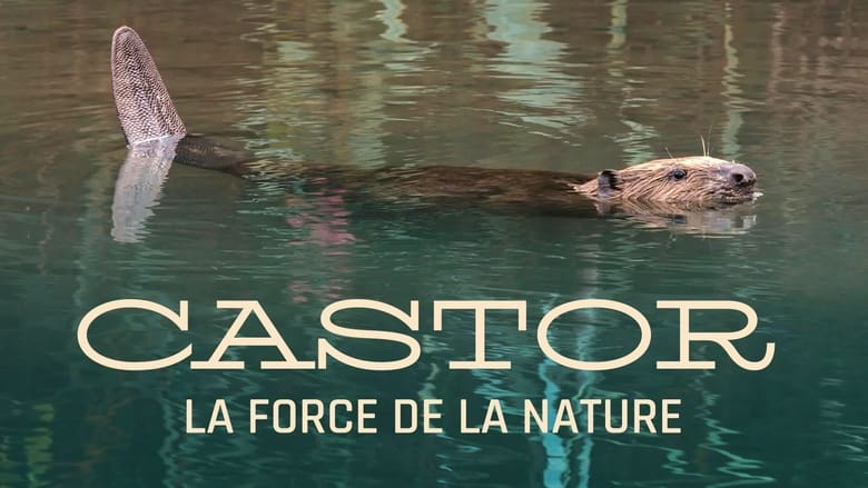 кадр из фильма Castor, la force de la nature