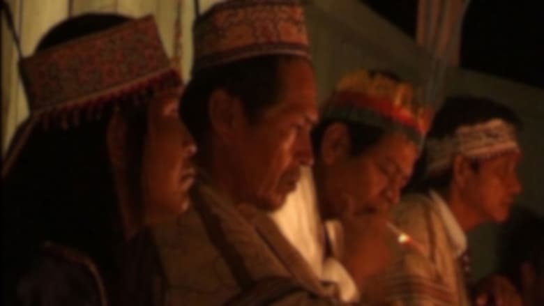 кадр из фильма L'Ayahuasca, le serpent et moi