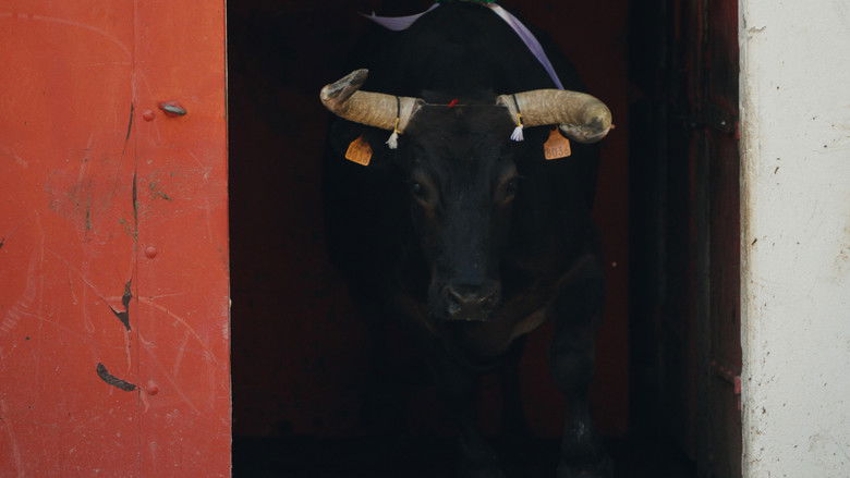 кадр из фильма Une jeunesse française