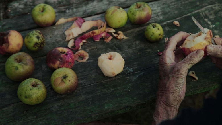 кадр из фильма И наступает ночь