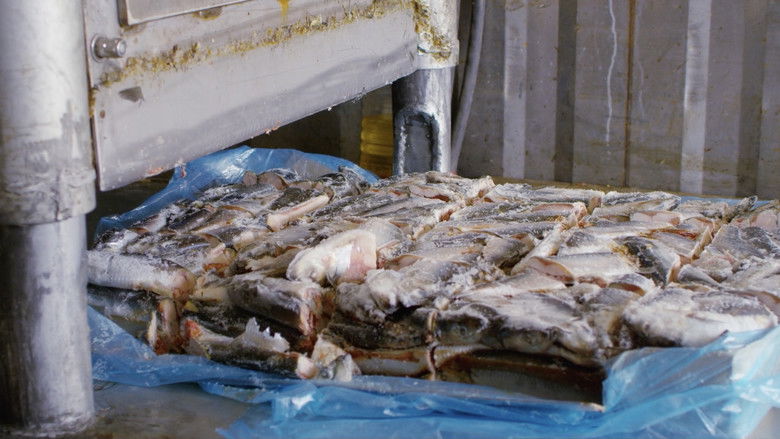 кадр из фильма Dumping Day