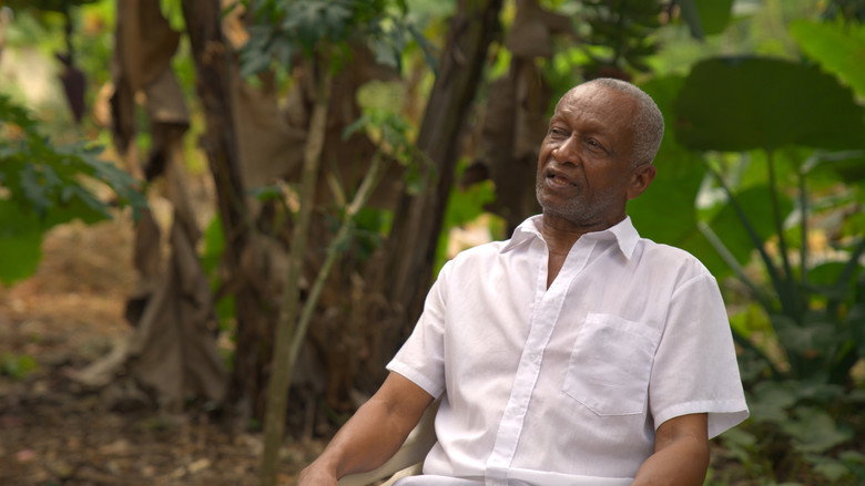 кадр из фильма Mamá Tingó: Memoria viva de la tierra dominicana