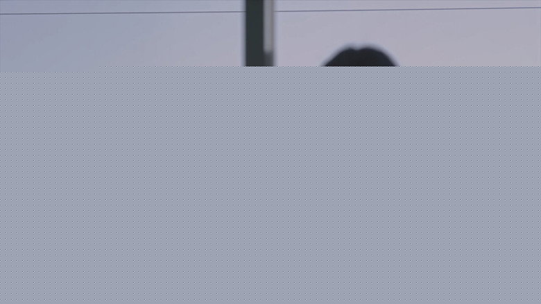 кадр из фильма Танец лепестков