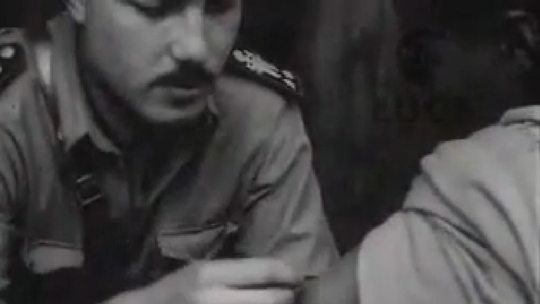 Il cammino degli eroi