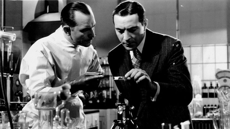 кадр из фильма Тринадцать женщин