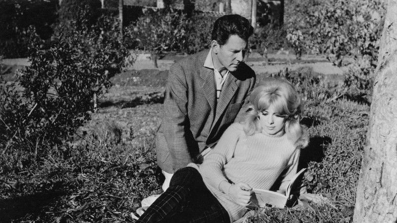 кадр из фильма Vacances portugaises