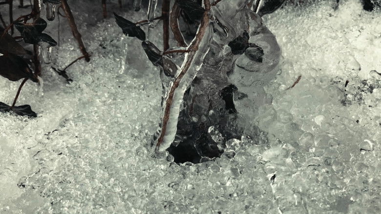 кадр из фильма Friend of the Drifting Light