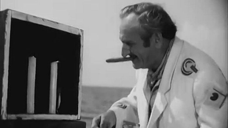 кадр из фильма Чёрная чайка