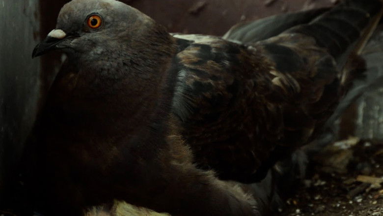 кадр из фильма Cuando Está Lloviendo y Eso