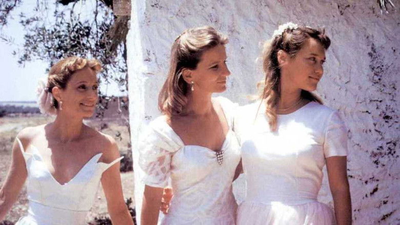 кадр из фильма Outremer