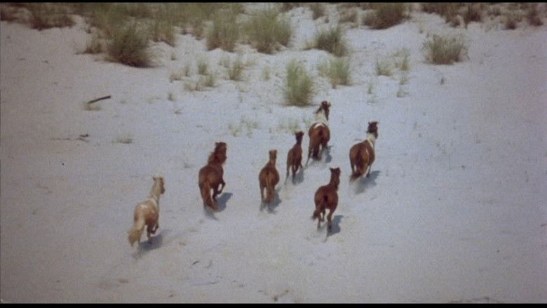 кадр из фильма Фиалки синие