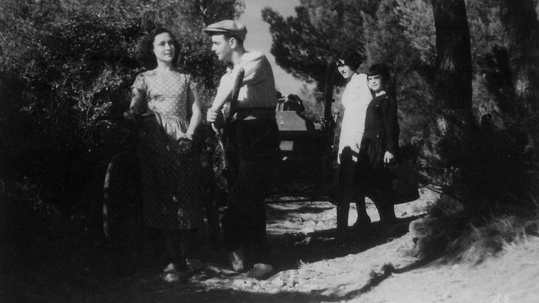 кадр из фильма Toni