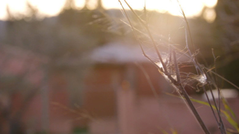 кадр из фильма Près de chez moi