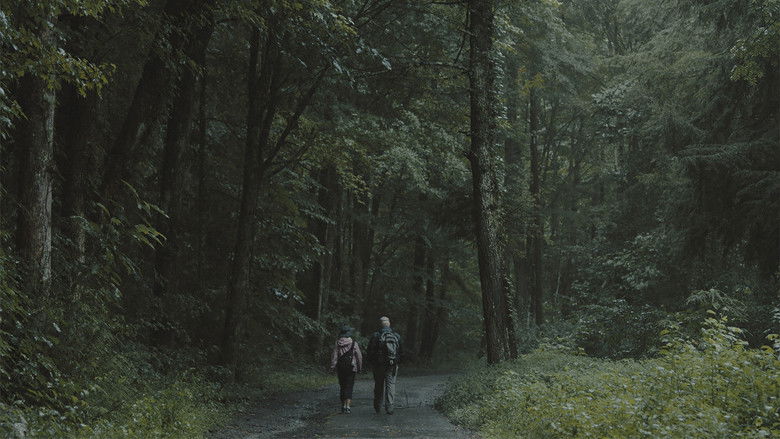 кадр из фильма Свет от света