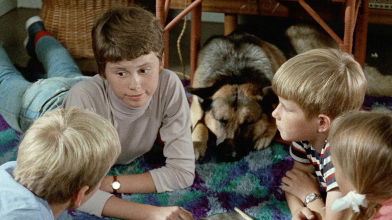 кадр из фильма De fem og spionerne