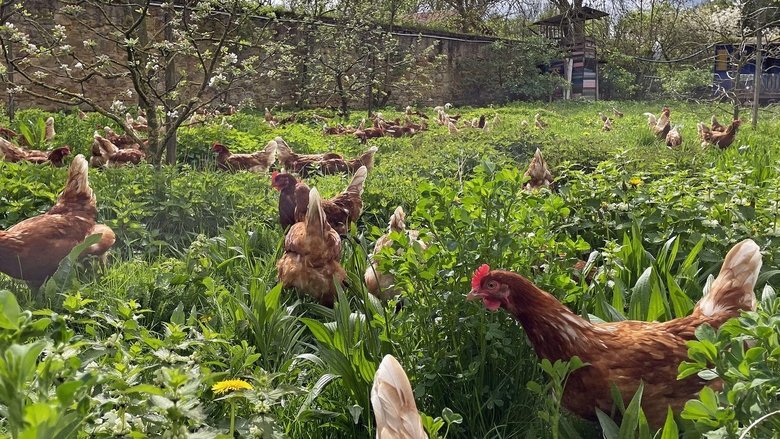 кадр из фильма Die Bio-Revolution - Die Karriere der ökologischen Landwirtschaft