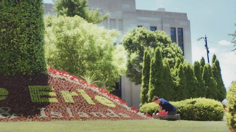 кадр из фильма Лебединая песнь