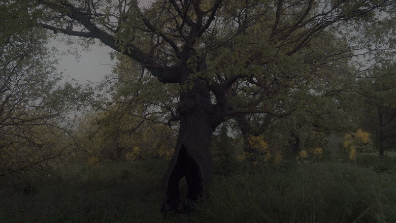 кадр из фильма Sığınak