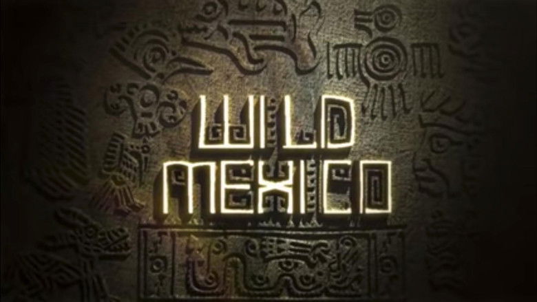 кадр из фильма Wild Mexico