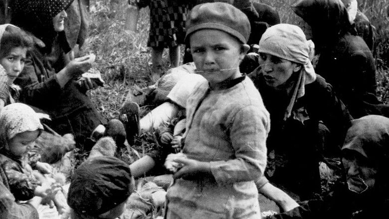 кадр из фильма We Shall Not Die Now