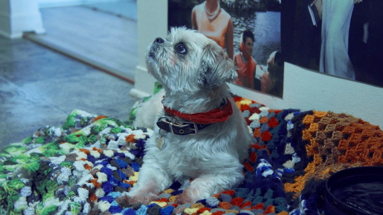 кадр из фильма Ici c'est toujours l'hiver