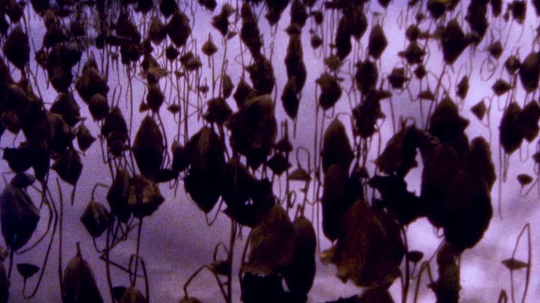 кадр из фильма Hiroshima - Nagasaki