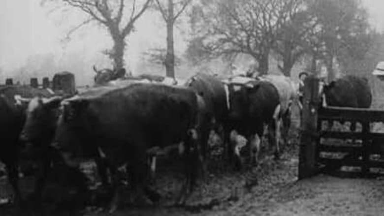 Women Farm Workers