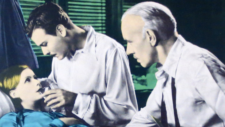 кадр из фильма Дикие орхидеи