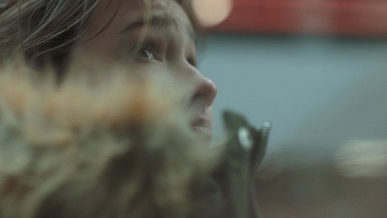 кадр из фильма Stray