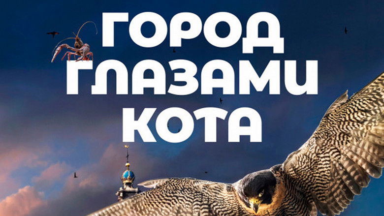 кадр из фильма Город глазами кота