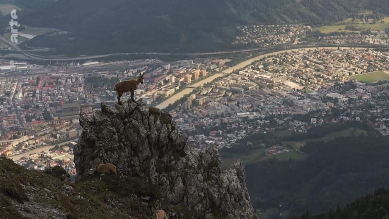 кадр из фильма Wildes Innsbruck: Zwischen Moderne und alpiner Wildnis