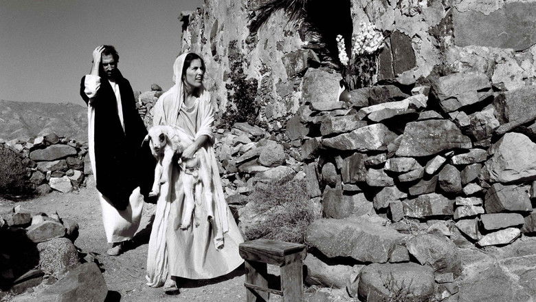 кадр из фильма El cant dels ocells