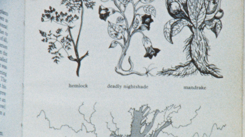 кадр из фильма how to make magic