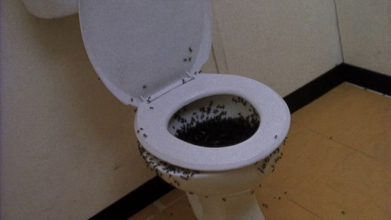 кадр из фильма Похороненный заживо