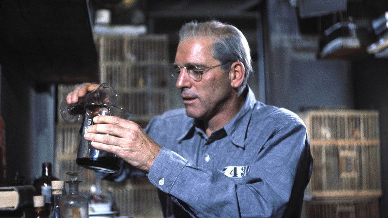 кадр из фильма Любитель птиц из Алькатраса