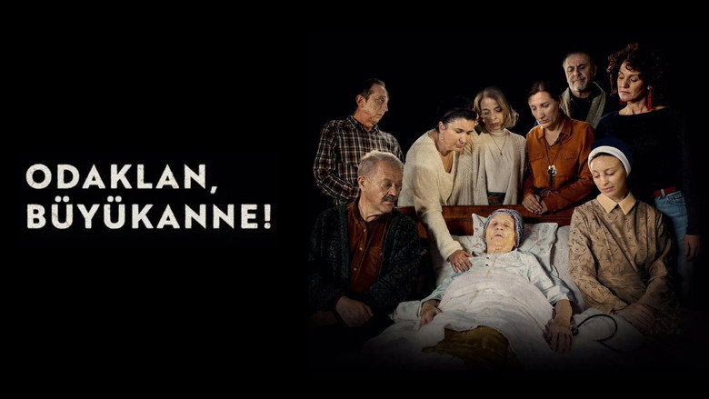 кадр из фильма Koncentriši se, baba