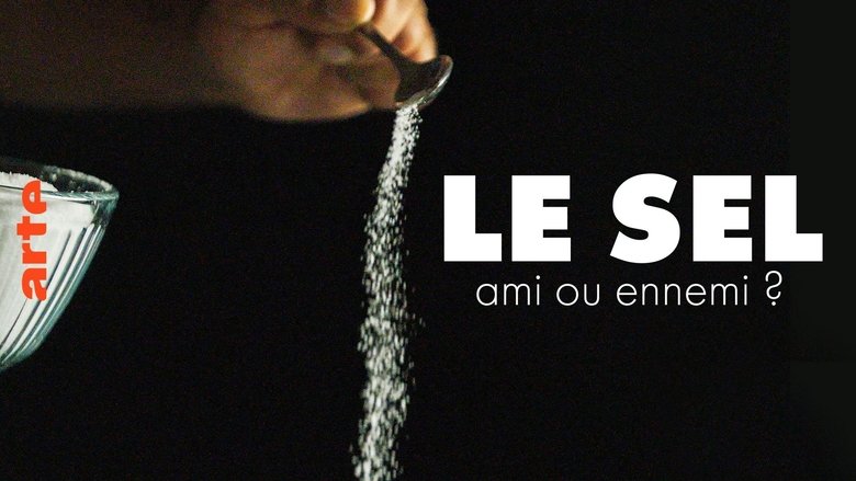 кадр из фильма Sel - un allié ou un ennemi ?