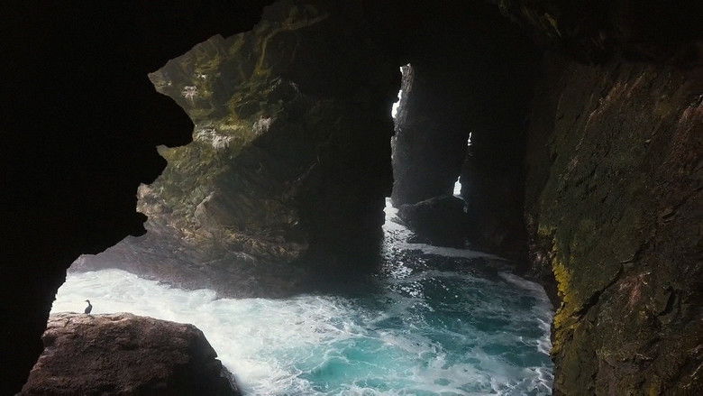 кадр из фильма My Mercury