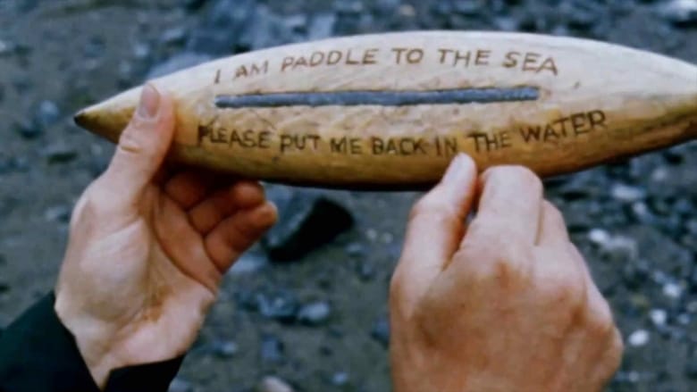 кадр из фильма Paddle to the Sea