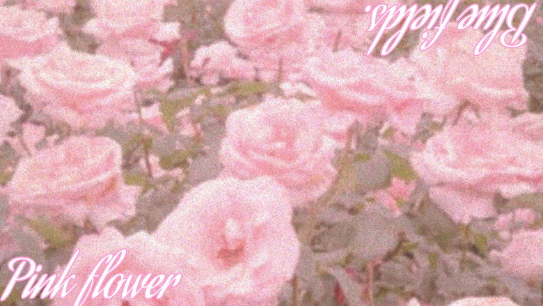кадр из фильма Flores rosas em meio aos campos azuis.