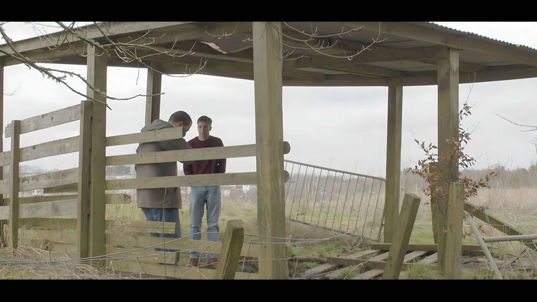 кадр из фильма The Favour