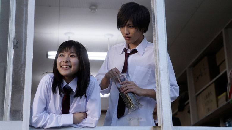 кадр из фильма 先輩と彼女