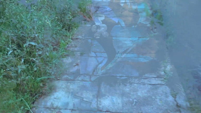 кадр из фильма pedra de jardim