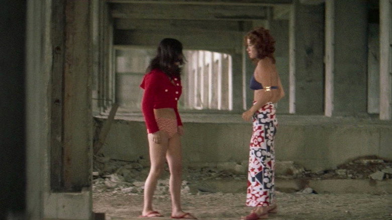 кадр из фильма 女番長ブルース 牝蜂の逆襲